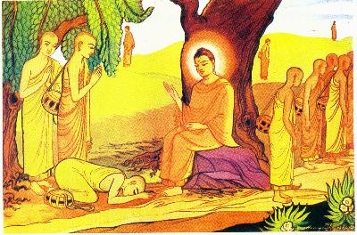 Gia phả dòng Thích Ca đọc vui trong ngày Phật Đản